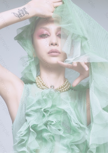 中島美嘉 会報 No.1~No.57 中島美嘉 (MIKA NAKASHIMA) / TRUE [2LP - AIJL 5248-9